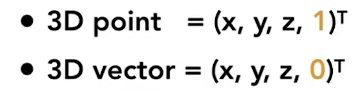 3Dhomogeneous